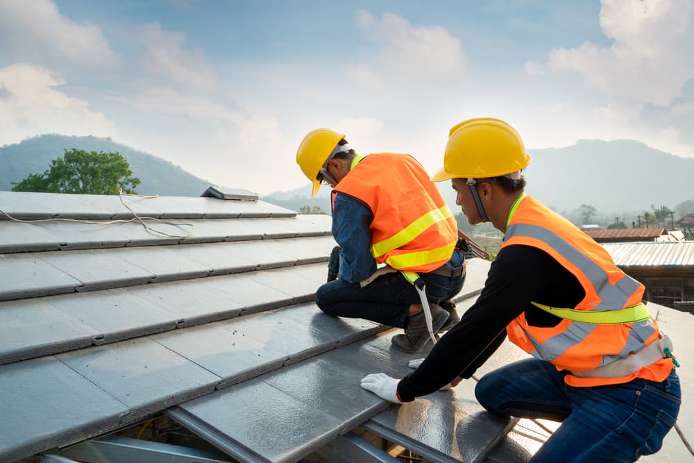 roof repair in Davis Junction IL